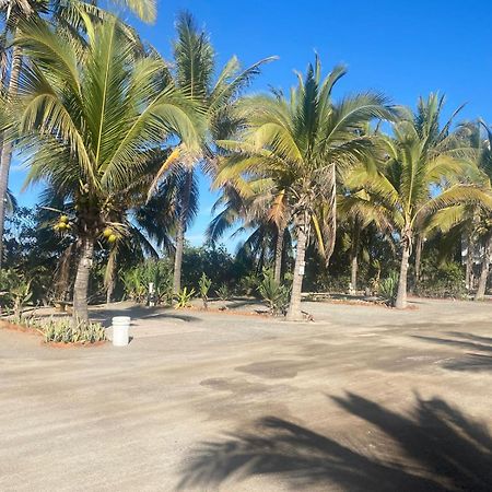 Bungalows Laguna Del Tule San Patricio Melaque Dış mekan fotoğraf